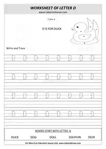 worksheet D